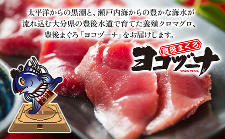 豊後まぐろ ヨコヅーナ 中落ち200g・漬け丼 セット | まぐろ 漬け丼 津久見市