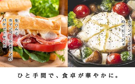 カマンベールチーズ（生） 120ｇ 5個 ＜トワ・ヴェール＞