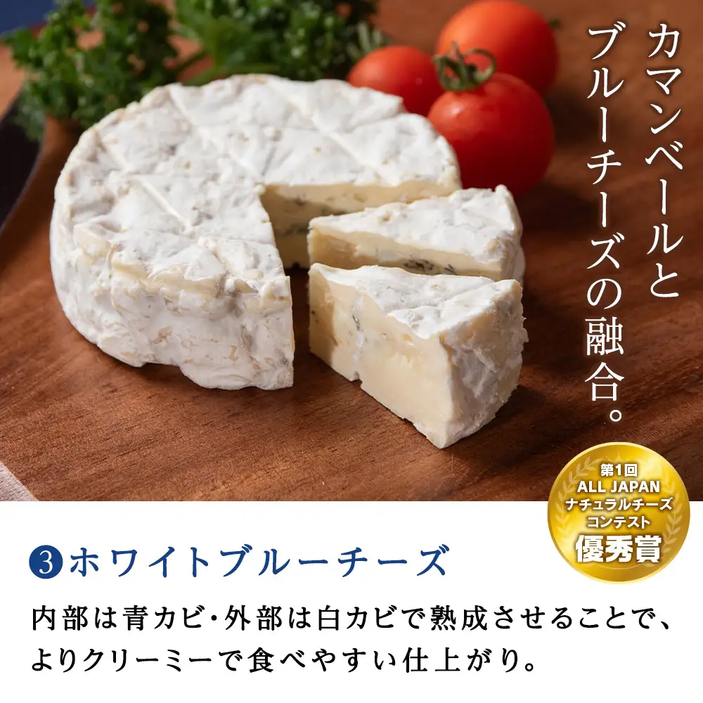 チーズ3種セット クリームチーズ・カマンベール・ホワイトブルーチーズ 各3個 セット