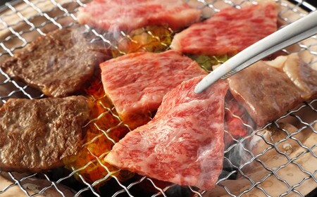 【全12回定期便】長崎和牛 焼肉用 ロース 約400g 和牛 国産 牛肉 お肉 ロース 焼き肉 BBQ