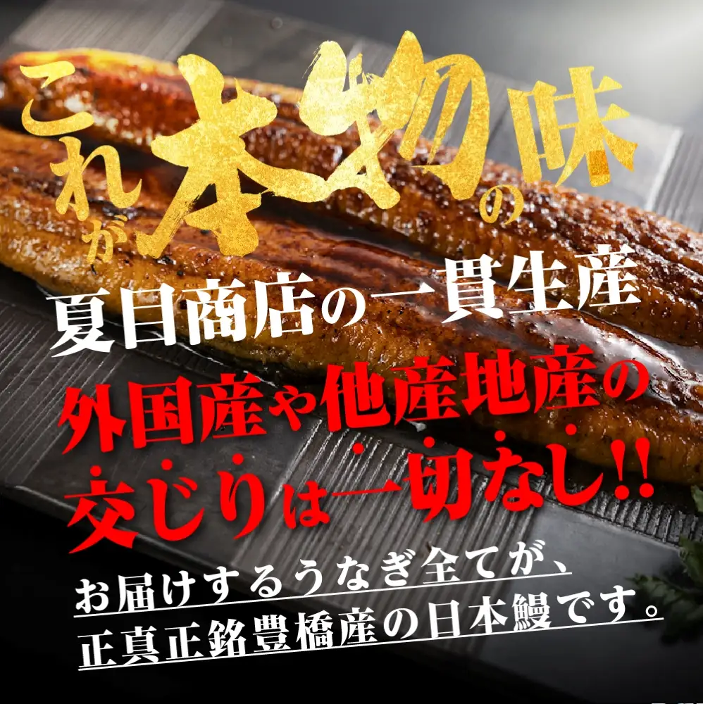 豊橋うなぎ 紅白3尾 国産 うなぎ