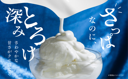 アイス フローズンヨーグルト 30個  アイス 中央製乳