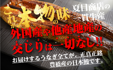 豊橋うなぎ 蒲焼 6尾900g 夏目商店 うなぎ