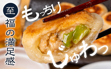 夏目家の『丸もち餃子３種食べくらべ（ピリ辛、チーズ、プレーン）』 （各24個×1袋　計3袋）                                                                                                                                                                                                          