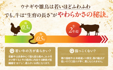 穂の国姫牛 肩ロース・バラ切り 1kg 牛肉