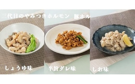 とよホル厳選 ホルモン6種&バーグ 豚肉
