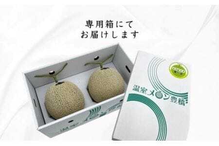 アールスメロン 2玉 1.8kg 糖度保証 メロン