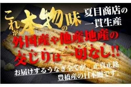 豊橋うなぎ 白焼 3尾 450g 夏目商店 うなぎ