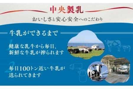 中央コーヒー 乳飲料 1L×12本 乳飲料