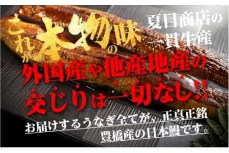 極上 豊橋うなぎ 蒲焼 カット 1kg 夏目商店                            