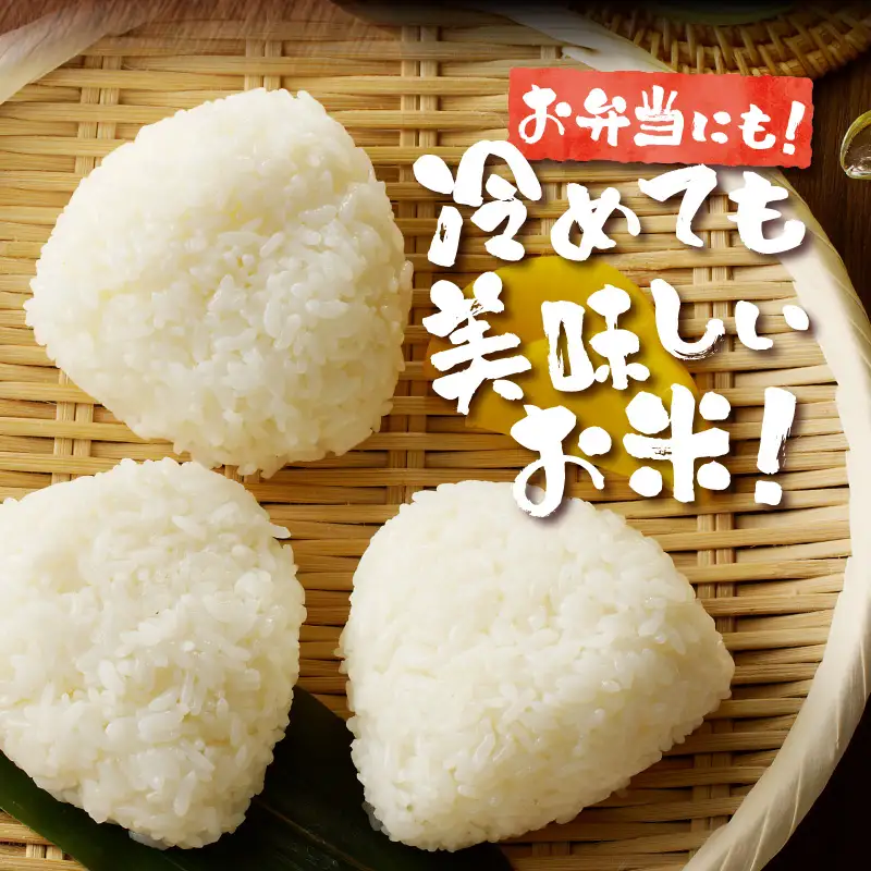 《令和7年産》特別栽培米ななつぼし 10kg×6ヵ月定期便 | 16年連続特A ブランド米 白米 精米 米 お米 こめ 減農薬 単一原料米 ご飯 北海道米 北海道 滝川市