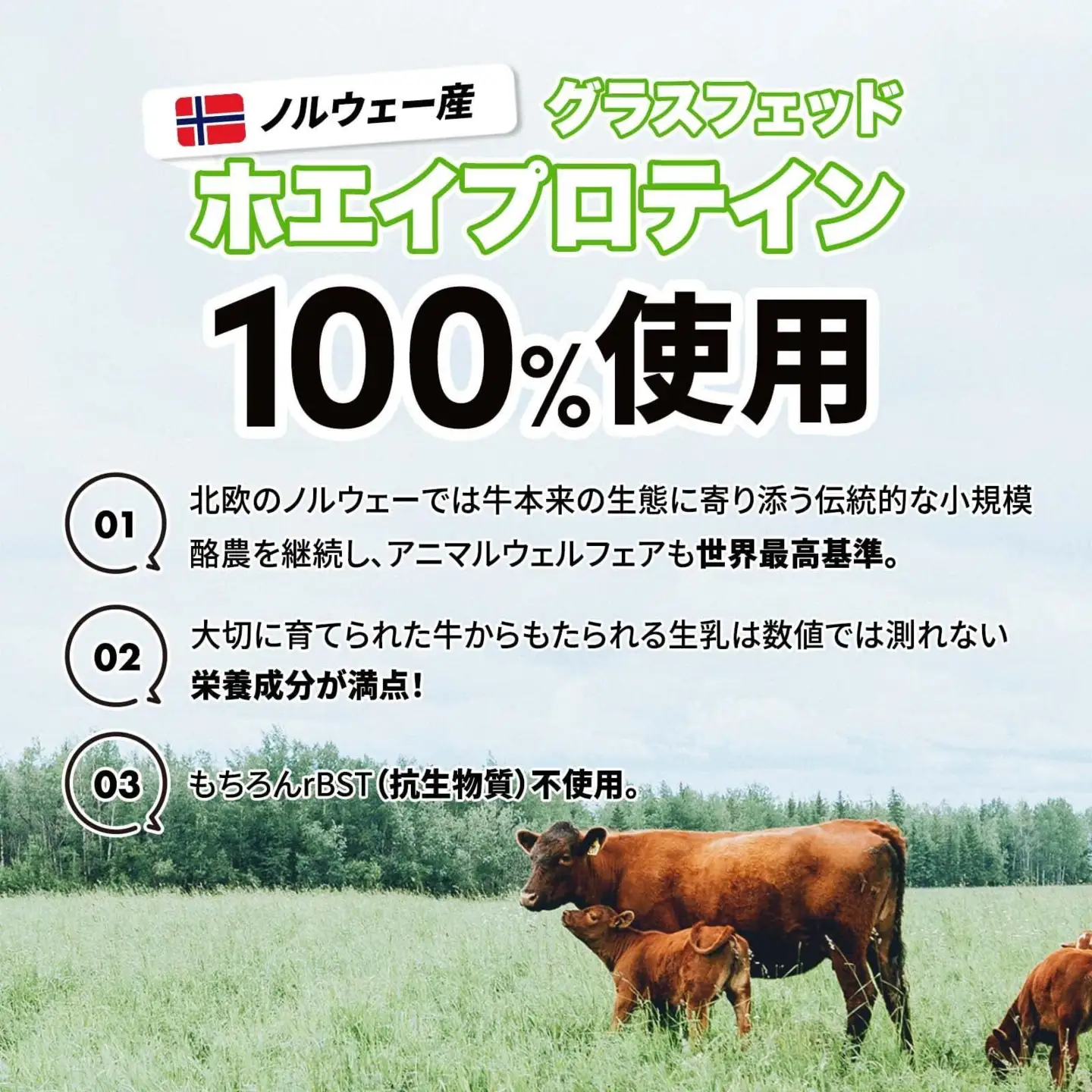 最高級グラスフェッドホエイプロテイン使用。GoCLN(ゴークリーン）自然派ホエイプロテイン 1kg ＜抹茶味＞
