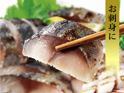 国産あぶりしめさば 6パック しめ鯖 冷凍 炙りサバ お刺身 お寿司 おかず