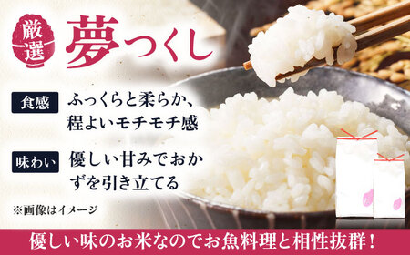 いとし米 厳選夢つくし 20kg (糸島産) 糸島市 / 三島商店 [AIM076]
