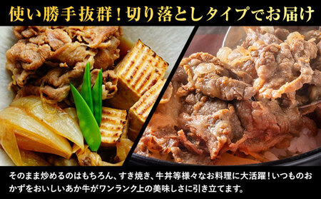 熊本県産 あか牛 切落し 1kg(250g×4パック) UBUYAMAPLACE《60日以内に出荷予定(土日祝除く)》あか牛 ユッケ 肉 小分け 牛肉 和牛