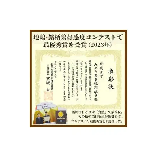 とり三昧 とりめしの具 常温 レトルト 2～3人分 播能チキン とりつまみ 播州百日どり おつまみ 酒の肴  五つ星ひょうご 3点セット[1128]