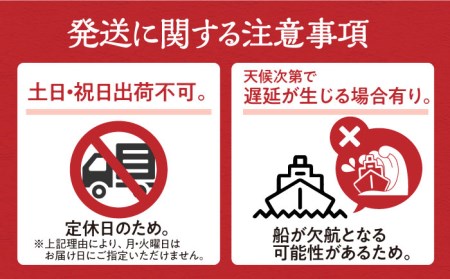 対馬 海の幸 干物 セット [WAC008] ひもの 干物 あじアジ 剣先いか カマス 穴子