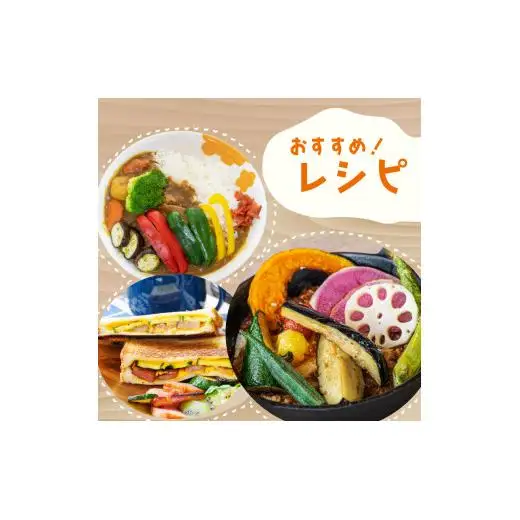 野菜定期便 7品~8品 3ヵ月 産地直送 朝採れ （ 7品 ～ 8品 野菜 セット 詰め合わせ 特産 季節 旬 新鮮 彩 ベジタブル 高知県 須崎市  ）NPO20000