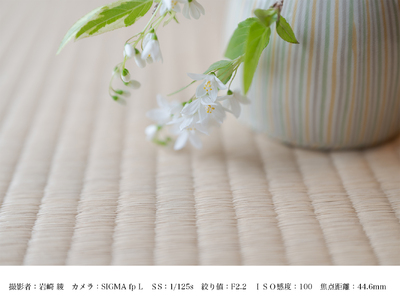 SIGMA 28-45mm F1.8 DG DN | Art【Lマウント】