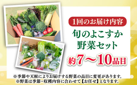 【全3回定期便】よこすか野菜セット  [AKFO007]野菜