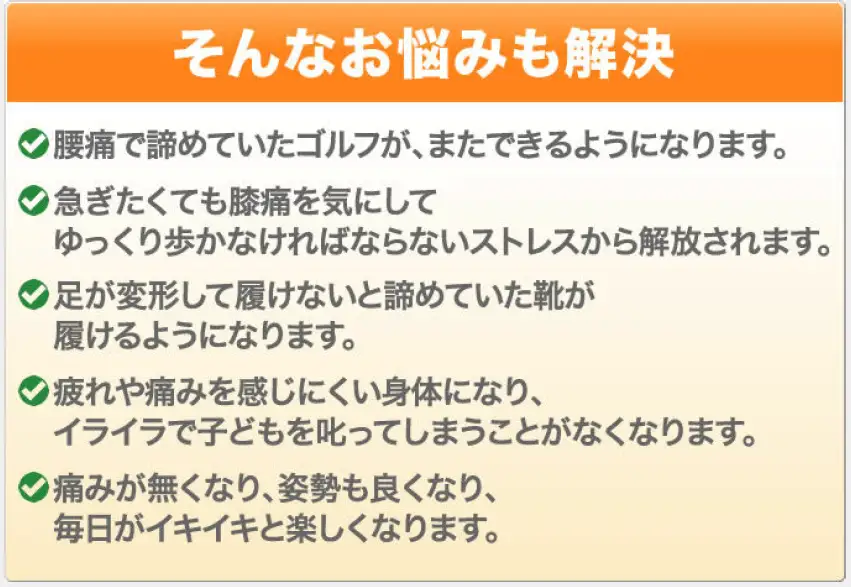 カイロプラクティック施術1時間コース回数券6回分 | 関節 身体 筋肉 治療 埼玉県 越谷市