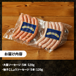 ソーセージ2種セット（大葉・ゆずこしょう） ソーセージ 北杜市 [h038]