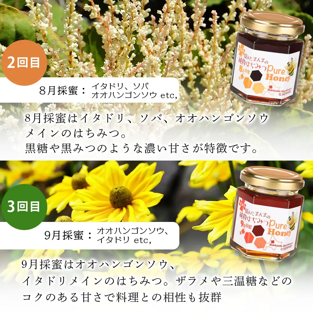 【定期便・頒布会】3ヵ月連続お届け！東神楽産採れたまんまの純粋はちみつ 130ｇ
