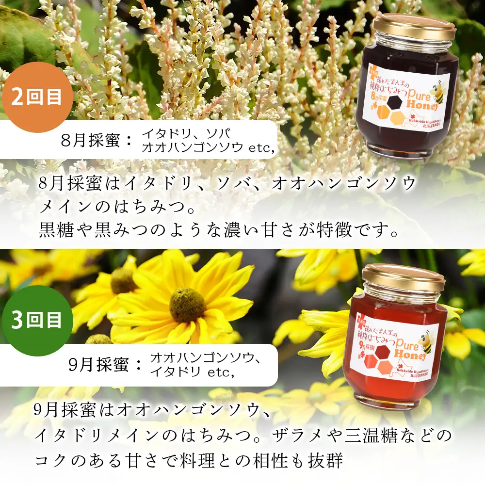 【定期便・頒布会】3ヵ月連続お届け！東神楽産採れたまんまの純粋はちみつ 240ｇ