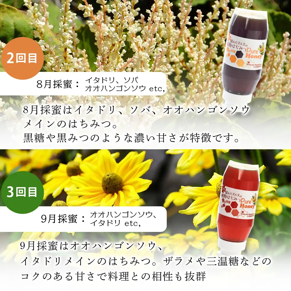 【定期便・頒布会】3ヵ月連続お届け！東神楽産採れたまんまの純粋はちみつ 300ｇ