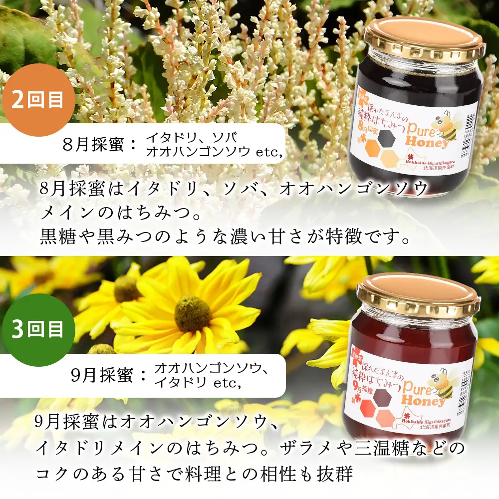 【定期便・頒布会】3ヵ月連続お届け！東神楽産採れたまんまの純粋はちみつ 600ｇ