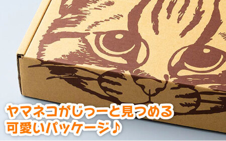 佐護 ツシマヤマネコ 米 みつめるにゃんBOX ダブル セット  米 玄米 減農薬 ねこ [WAP002]