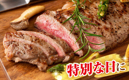 【全6回定期便】【A4～A5ランク】長崎和牛 サーロインステーキ 250g（250g×1枚）《壱岐市》【株式会社MEAT PLUS】 肉 牛肉 黒毛和牛 サーロイン ステーキ ご褒美 ギフト 贈答用 ご褒美 冷凍配送 A4 A5 [JGH125]