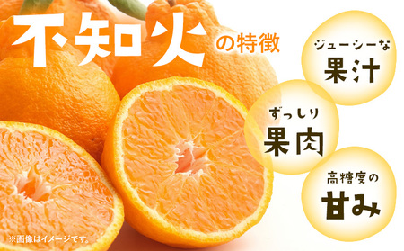 みかん 不知火 厳選 5kg サイズ混合
