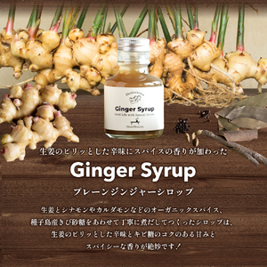 【 小豆島 】小豆島ジンジャー&ダイダイレモンシロップ3本セット ミニ お試し 飲料 飲み物 ドリンク シロップ ギフト 贈り物 香川 香川県 土庄 土庄町