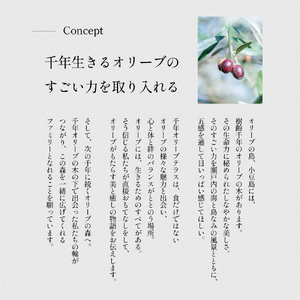 【 小豆島 】千年オリーブテラス for your wellness 日帰り体験 （入園つき） ペアチケット マインドフルネス体験 体験 体験チケット 旅行 旅 オリーブテラス 日帰り チケット ペア 香川 香川県 土庄 土庄町