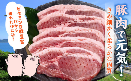 宮崎県産 豚ロース (トンテキ・とんかつ用) 計1.5kg 肉 豚肉 ポーク 国産 食品 万能食材 真空パック 簡単調理 おかず お弁当 おつまみ 豚丼 焼肉 炒め物 カレー ステーキ おすすめ ご褒美 お祝い 記念日 日南市 送料無料_C120-24