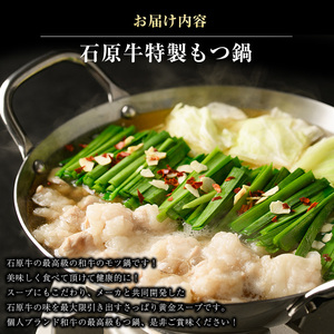 石原牛 特製もつ鍋セット 4人前 (2人前×2) 石原牛 国産 牛 ウシ 牛肉 もつ鍋 モツ鍋 もつなべ 牛もつ鍋 鍋 鍋セット ちゃんぽん麺 スープ 冷凍【石原PRO】ishihara-7095
