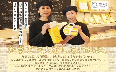 【高級】名古屋コーチンセット（2パックと醤油）【JGAP認証】 卵 卵かけご飯 TKG 高級卵かけご飯 朝食 朝ごはん 贈り物 ギフト たまご醤油 卵かけご飯用醤油 手土産 プレゼント 卵かけご飯セット 絶品 グルメ お取り寄せ 愛知県 常滑市