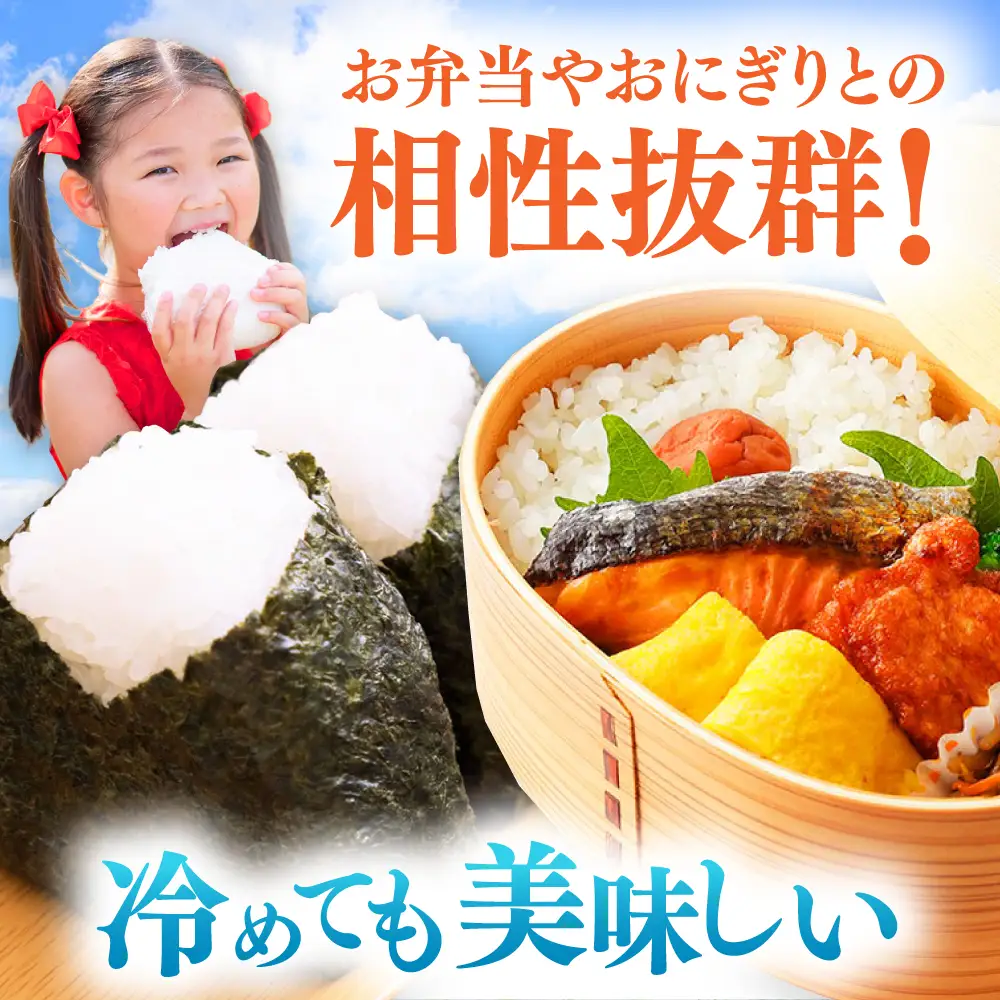 【R8年産】【2026年10月中旬頃より順次発送】特A 対馬産 にこまる 5kg×2「ほたる舞う三根川の米」 新米 米 お米 ご飯 ごはん 白米 10kg 10キロ 贈答用 特A [WAJ001]