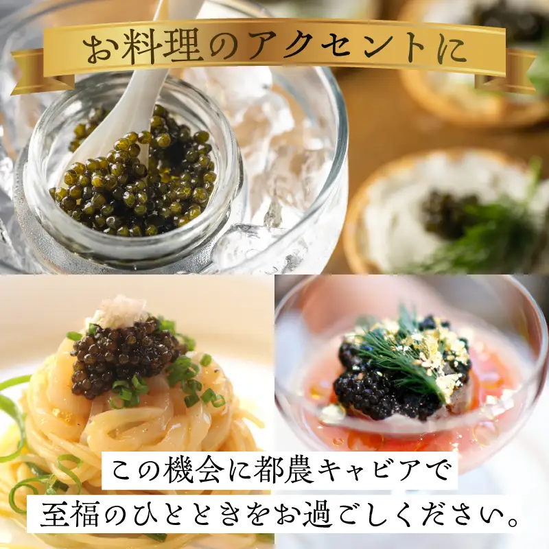 【2週間以内発送】都農キャビア(計10g) 魚 魚介 魚卵 国産_T047-0015