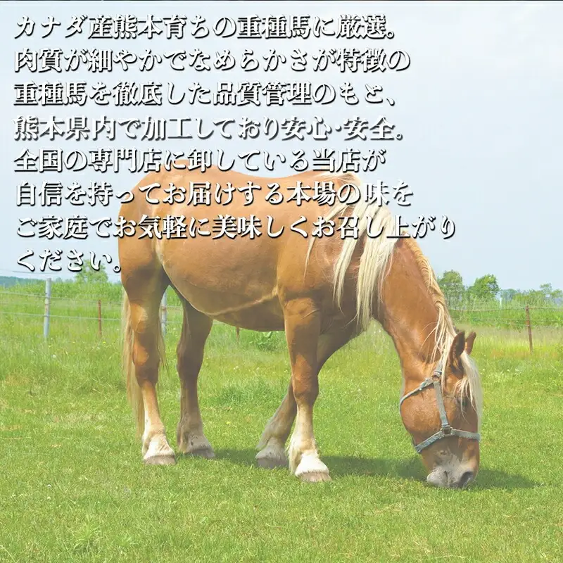 オアシス九州【熊本県内と畜】 熊本 馬刺し 500gセット ( 赤身 300g 、ユッケ 200g )県内肥育 馬肉 おつまみ 冷凍 _U117-0030