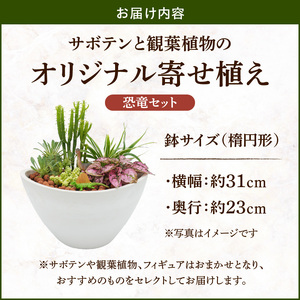 サボテンと観葉植物のオリジナル寄せ植え【恐竜セット】[133O05] 本格サボテン 産地直送サボテン フィギュア付き インテリア サボテンギフト プレゼント オシャレ かわいい サボテン寄せ植え オリジナルサボテン 人気サボテン 多肉植物 