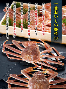ボイルずわいがに爪 1kg (解凍後700g / 10～25個入り）[024-b028]