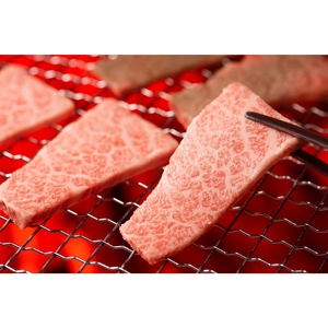 A5等級 松阪牛 特薦 カルビ 400g お肉 バラ(カルビ)