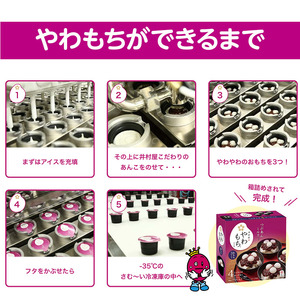 【井村屋】BOXやわもちアイス バニラ12箱セット [ あずき 小豆 粒あん つぶあん おもち 和スイーツ アイス アイスクリーム スイーツ デザート お菓子 冷凍 人気 ] 