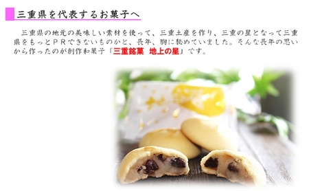 三重銘菓「地上の星」12個入　銘菓 お菓子 創作 和菓子 創作菓子 個包装 ギフト 三重県 津市 まんじゅう 饅頭 お菓子 