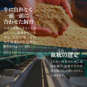 松阪牛サーロインステーキ200g×3枚 [ 松阪牛 ステーキ ]