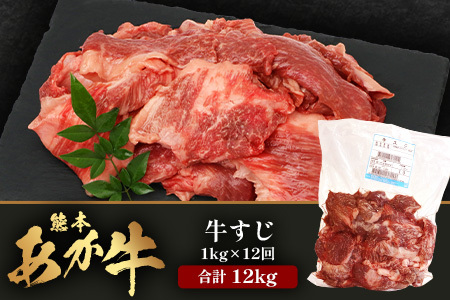 【 定期便 12回 】 熊本 あか牛 スジ肉 1㎏ × 12回 【 合計 12kg 】 牛スジ 熊本 熊本県産 あか牛 牛肉 ブランド 肉 お肉 ヘルシー すじ 牛スジ 牛筋 煮込み カレー 冷凍 国産 041-0167
