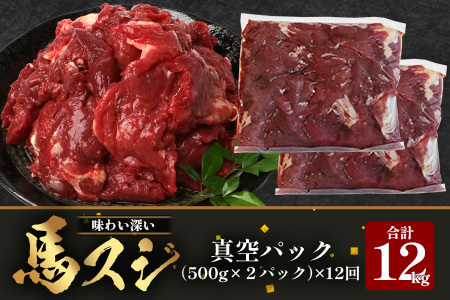 【 定期便 12回 】 熊本県 馬スジ 1㎏（ 500g×2 ） × 12回 【 合計 12kg 】 馬肉 すじ肉 大容量 本場 熊本県 馬 赤身 煮込み カレー シチュー 冷凍 真空 熊本 肥育 ヘルシー 赤身 肉 高栄養 肉 馬スジ 041-0169