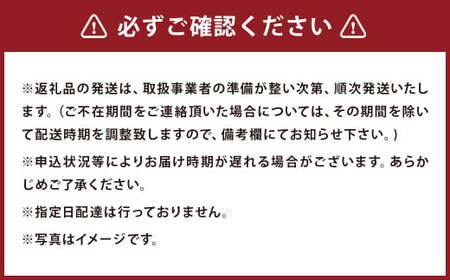 【12ヶ月定期便】ご当地グルメ! 馬刺し燻製2種と馬スジ・あか牛カレーのセット 4種 全6袋セット カレー ご当地カレー
